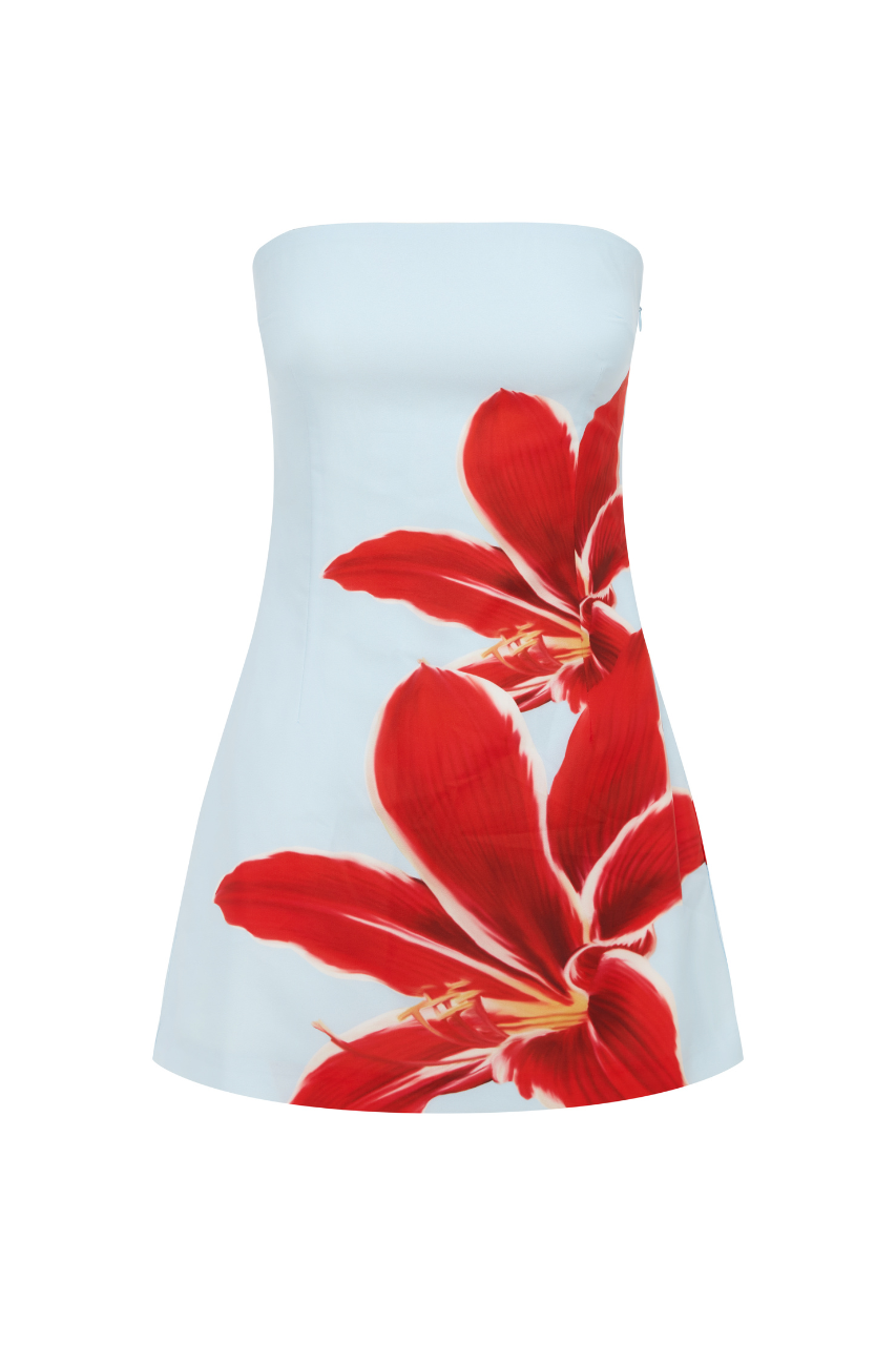 Prim Mini Dress - Red Lily - SHOPJAUS - JAUS